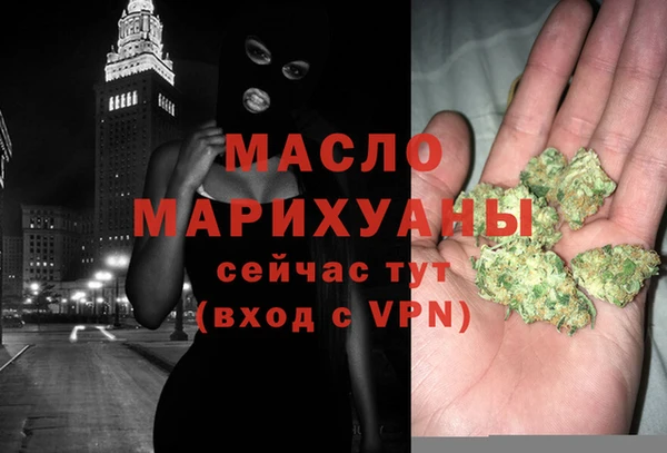 мет Алексин