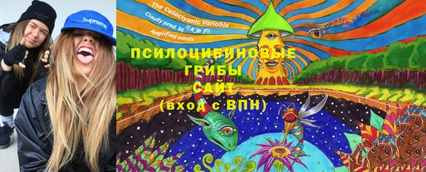 спайс Пролетарск
