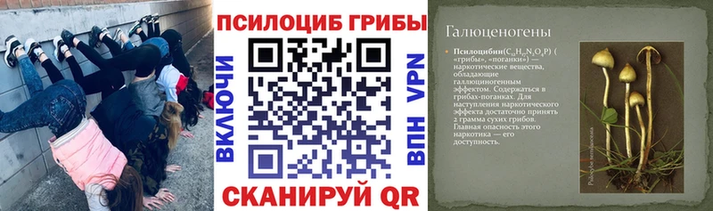 Галлюциногенные грибы мухоморы  что такое наркотик  Константиновск 